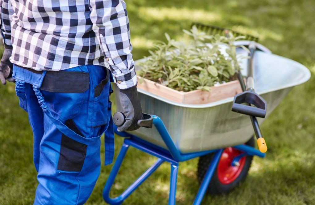 Najlepsze narzędzia na lato - to przyda Ci się w Twoim ogrodzie!