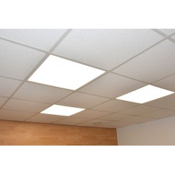 Panel LED OfficeLight 40, 3/4/6K, 4635lm, IP44 595x595 DALI